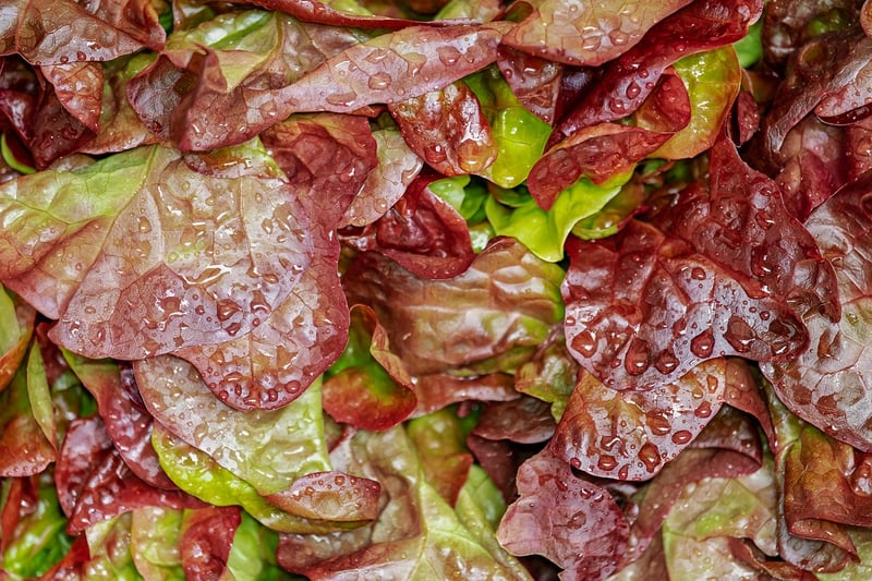 Fresh Produce